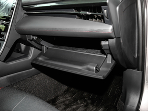 20212.5L TouringFSPORT	 