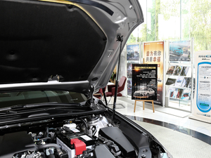 20212.5L TouringFSPORT	 