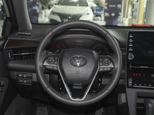 2021款2.5L 豪华版 中控区