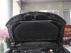 2021款2.5L 豪华版 其它