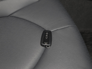 2021款2.5L 豪华版 其它