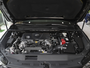 2021款2.5L 豪华版 其它
