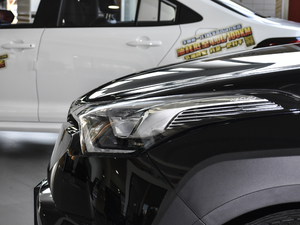 20212.0L YSPORT (ji)^