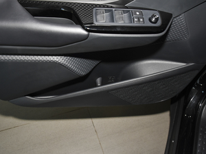 20212.0L YSPORT ǰTg