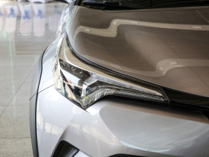 20212.0L YSPORT (ji)^