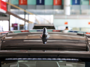 20212.0L YSPORT (ji)^