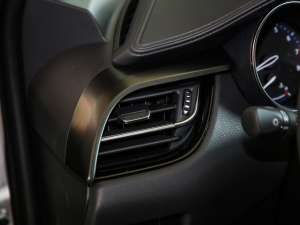 20212.0L YSPORT п؅^(q)