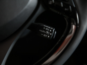 20212.0L YSPORT п؅^(q)