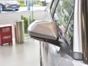 2021p 2.0L  (x)(ji)^