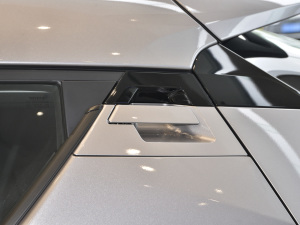 2021p 2.0L  (x)(ji)^