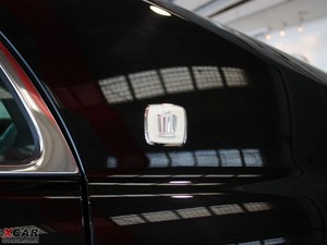2010款4.3L Royal Saloon 细节外观