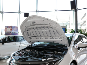 20212.0L CVTMȡ lәCœ