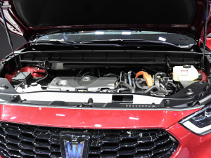 2021款2.5L HEV四驱旗舰版 其它