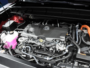 2021款2.5L HEV四驱旗舰版 其它