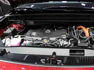 2021款2.5L HEV四驱旗舰版 其它