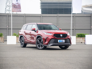 2021款2.5L HEV四驱旗舰版 右前45度