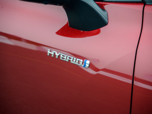 20212.5L HEV(q)Ş (x)(ji)^