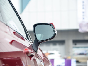 20212.5L HEV(q)Ş (x)(ji)^