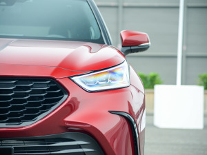 20212.5L HEV(q)Ş (x)(ji)^