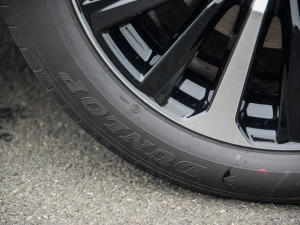 2021款2.5L HEV四驱旗舰版 轮胎品牌