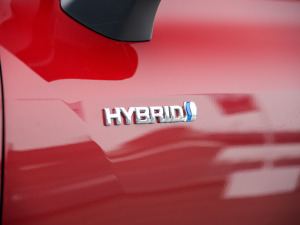 20212.5L HEV(q)Ş (x)(ji)^