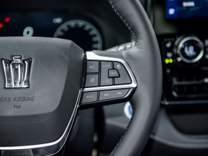 20212.5L HEV(q)Ş п؅^(q)