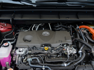 2021款2.5L HEV四驱旗舰版 其它