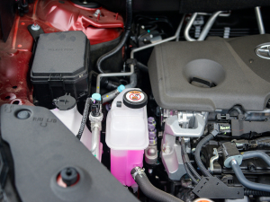 2021款2.5L HEV四驱旗舰版 其它