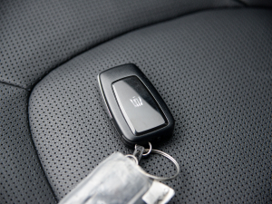 2021款2.5L HEV四驱旗舰版 其它