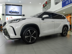 2021款2.5L HEV四驱尊贵版 整体外观