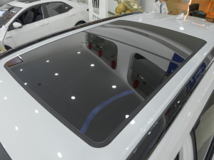 2021款2.5L HEV四驱尊贵版 车顶