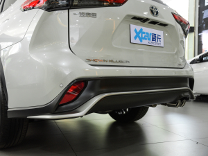 2021款2.5L HEV四驱尊贵版 细节外观