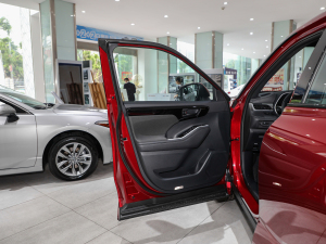2021款2.5L HEV四驱精英版 驾驶位车门