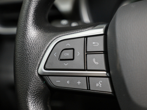 20212.5L HEV򌾫Ӣ п؅^