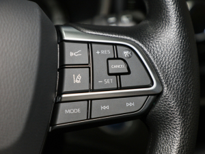 20212.5L HEV򌾫Ӣ п؅^