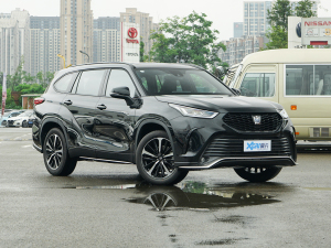 2021款2.5L HEV四驱豪华版 右前45度