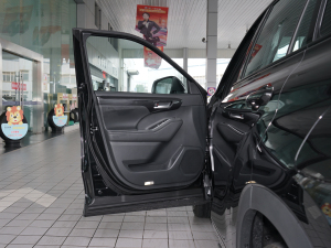 2021款2.5L HEV四驱豪华版 驾驶位车门