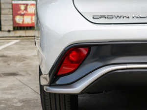 2021款2.5L HEV两驱精英版 细节外观