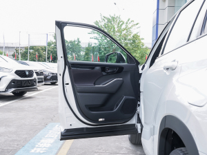 2021款2.5L HEV两驱精英版 驾驶位车门