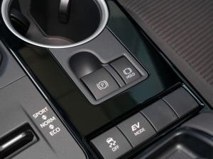 2021款2.5L HEV两驱精英版 驻车制动器
