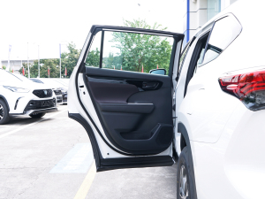 2021款2.5L HEV两驱精英版 左后车门