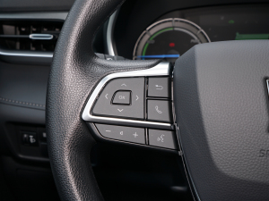 20212.5L HEV򌾫Ӣ п؅^