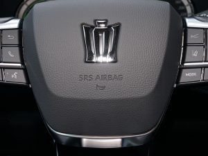 2021款2.5L HEV两驱精英版 中控区