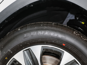 2021款2.5L HEV两驱进取版 轮胎品牌