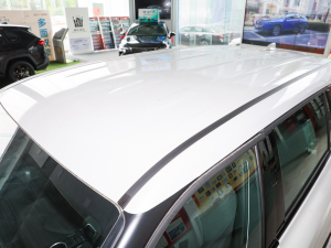 2021款2.5L HEV两驱进取版 车顶