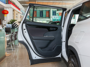 2021款2.5L HEV两驱进取版 左后车门