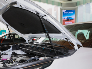 2021款2.5L HEV两驱进取版 其它
