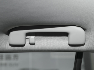 2021p 2.5L CVT(q)ӢPlus g