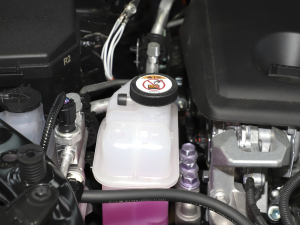 2021款双擎 2.5L CVT四驱精英Plus版 其它