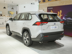 20212.5L (q)ӢPro 45